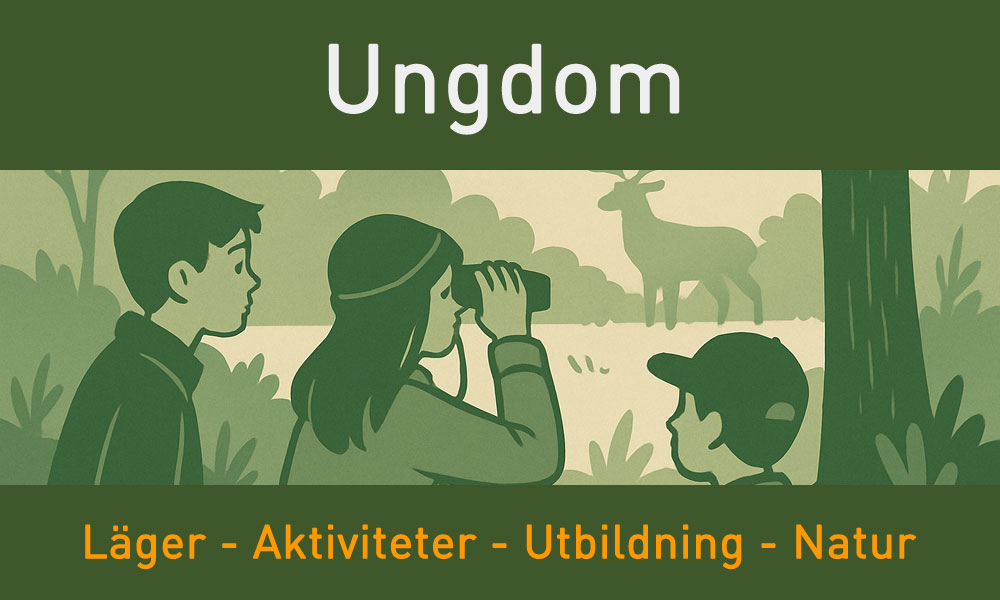 fp row2 ungdom